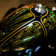 Illustration for article titled Experience The Beautiful Custom Creations Of The Hand Built Motorcycle Showem/em
